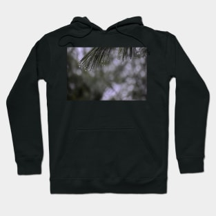 Pine Branch Border Hoodie